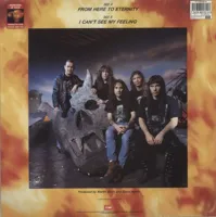 fearofthedark050-ironmaideneddie.com