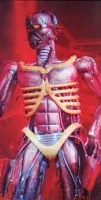 somewhereintime111-ironmaideneddie.com